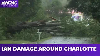 Charlotte family back at square one when tree crashes into home