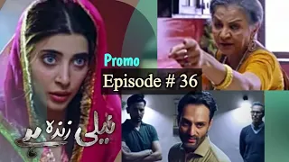 Neeli Zinda Hai Episode 36 - Promo || Neeli Zinda Hai Episode 36 - Review || Buraq Digi Drama