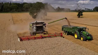 Harvest 2021 - Claas Lexion 770TT harvesting wheat in Great Glemham
