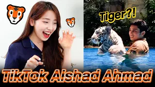 [REAKSI KOREA] Pertama Lihat TIKTOK ALSHAD AHMAD🐯 | Tiara Andini