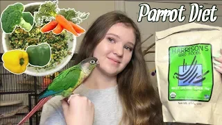 WHAT SHOULD YOU FEED YOUR BIRD? | My Parrots’ Complete Diet