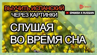 Выучить испанский через картинки |испанский словарь Слушая во время сна | Golearn