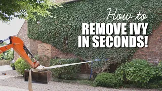 Ultimate Ivy Removal HACK! 😎😎 #shorts