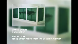 David Bowie - Damien Hirst