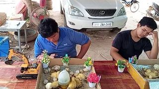 Ducks eating food