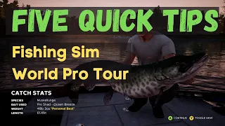 5 Quick General Tips for Fishing Sim World Pro Tour 2021