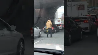 Good Samaritan Stops Traffic to Help Geese Cross Road