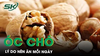 Lý Do Khiến Bạn Nên Ăn Hạt Óc Chó Mỗi Ngày | SKĐS