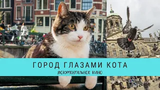 Город глазами кота / Рейтинг 7,9 / Документальное кино (2018)