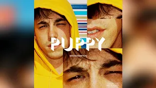 BROCKHAMPTON - PUPPY (FULL COMP/ALBUM) (natty)