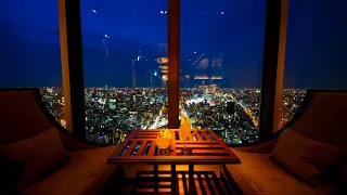 TOKYO LUXURY LOUNGE 4 (2010)