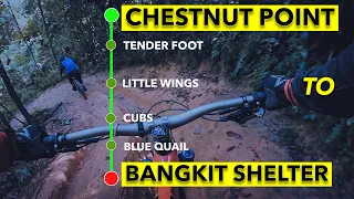 Chestnut Point To Bangkit Shelter | Mountain Biking in Chestnut North