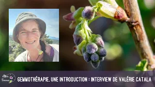 Gemmothérapie : interview de Valérie Catala