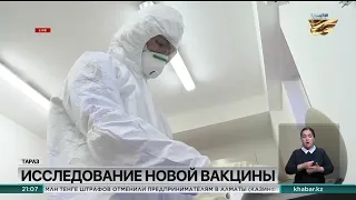 Клинические испытания новой казахстанской вакцины стартовали в Таразе