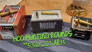 HOG HUNTING ROUNDS 5.56/.223 AR15**PART 2 #HOGHUNTING #AR15 #556