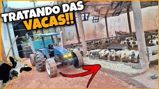 TRATANDO DAS VACAS NO COMPOST BARN!!