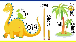 Big And Small For Kids And Children | Comparison for Kids | Learn Pre-School Concepts