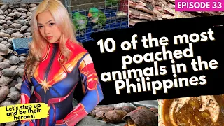 10 most poached animals in the Philippines