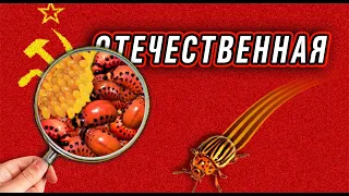 Русский фейк на страже победобесия. Симулякр, как смысл дидоваивания.