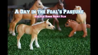 A Day in the Foal's Pasture - Schleich Horse Short Film