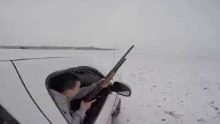Coyote hunting Kansas snow day