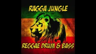 Reggae Jungle Drum and Bass Mix #4 2020 DnB