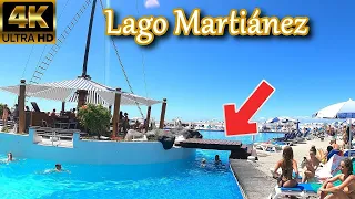 The largest art museum with swimming pools in Europe | Lago Martianez