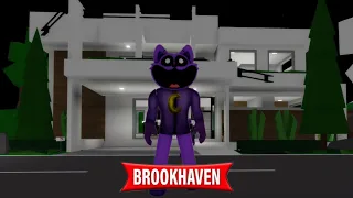 Я стал КэтНапом (CatNap) в Brookhaven