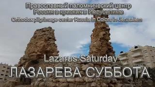 Святая Земля | Лазарева суббота | Holy Land | Lazarus Saturday