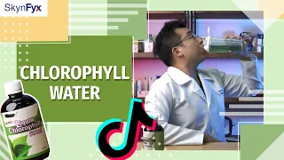 I DRANK Chlorophyll Water For 3 WEEKS | Skynfyx Reviews