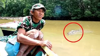 5 Scary Crocodile Encounters You Should Avoid Watching