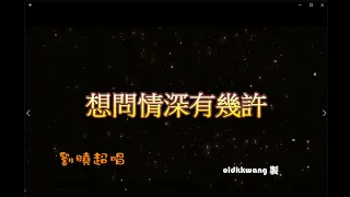 想問情深有幾許 特效 karaoake 字幕