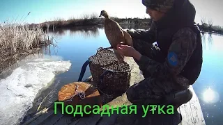 Подсадная утка и всё что нужно для неё