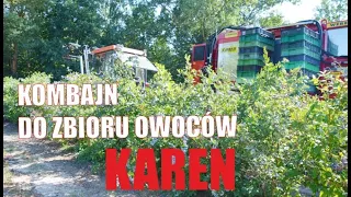 Blueberry & raspberry harvester season 2021 with KAREN