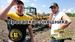 Соняшник БЕЗ гербіциду! Культиватор Bednar Row Master 12 рядів. Найгірше поле!