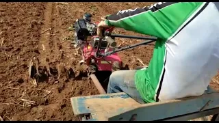 Plantando milho com plantadeira e adubadeira de empurrar 🌽🙏