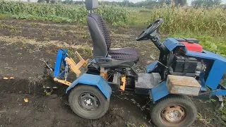 Копаю картофель МИНИТРАКТОРОМ урожай 2023!!! Homemade mini tractor