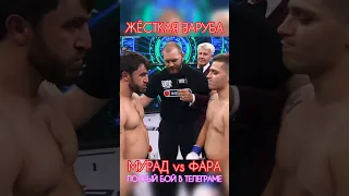 ЧИСТО ПАЦАНСКАЯ ДРАКА👊🏻ФАРИД ЯДУЛЛАЕВ vs МУРАД ЛЕГЕНДА #shorts #popmma #mma