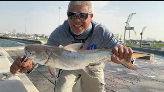 Sarap ng hatak ng isda na eto. Catch and release #catchandrelease #fish #fishing #angler