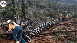 Modern AGRICULTURE Machines and PEOPLE On Another Level