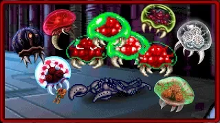 Metroid Theory - What Do the Metroids Absorb out of Their Victims?!?