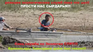 БРАКОНЬЕРЫ ЭЛЕКТРИКИ УЗБЕКИСТАНА!!! СЫРДАРЬЯ 29.05.2023