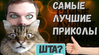 ๑۩۩๑ (ЛУЧШИЕ ПРИКОЛЫ) ТОЛЬКО ДЛЯ ВЗРОСЛЫХ "18+" ⊗