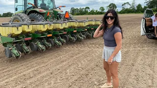 Planting Cotton in the Mississippi Mud (& rain)