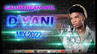 Dyani Mix 2022 / D'yani Mixtape 2022 / D'yani Dancehall Mix 2022