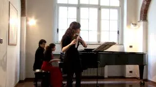 W. A. Mozart  Flute Concerto No. 1 in G major K. 313 - Allegro maestoso