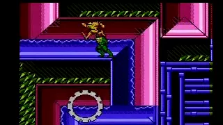 Battletoads NES -- 2-player speed run in 16:15 (WR)