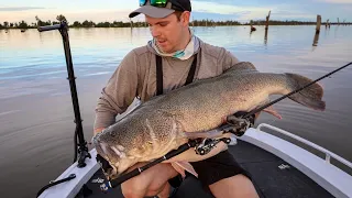 First fish of 2023! Lake Mulwala Metre Murray Cod