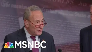 Chuck Schumer: Republicans 'Don't Want To Hear The True Facts' During Impeachment | MSNBC