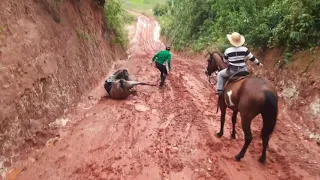 Cavalo caindo em estrada lisa | freio em cavalo